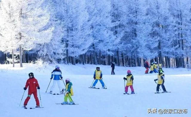 崇礼文旅市场迎来“开门红”
