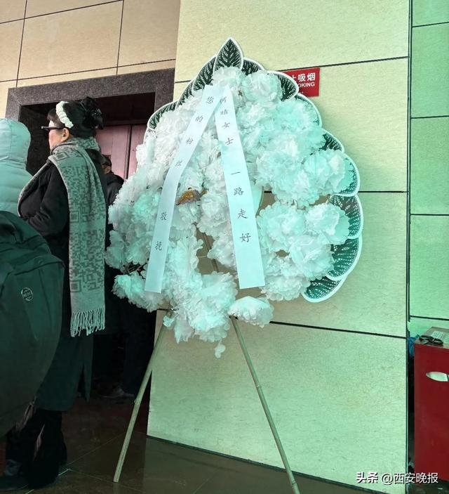 何晴告别仪式举行,儿子深情追忆:妈妈喜欢雪,北京初雪是为她而下