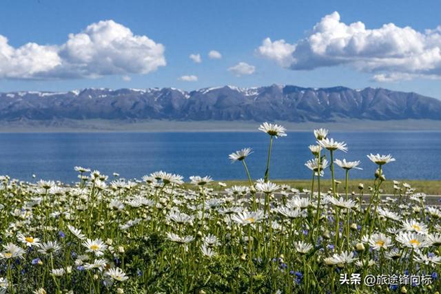 夏日余额告急，新疆限定美景，错过再等一整年