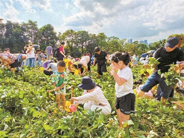 农场扭秧歌 广场打铁花 光明农场大观园吸引数万市民游玩