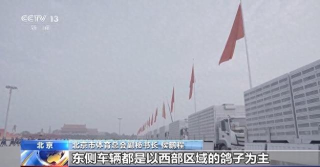 90秒放飞8万羽和平鸽 支持浪漫一幕的是背后的“硬核科技”