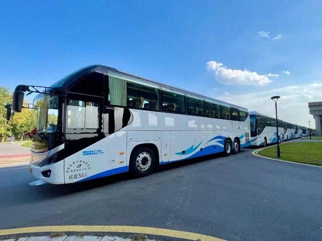 本周六！石家庄→北京野生动物园直通车正式发车