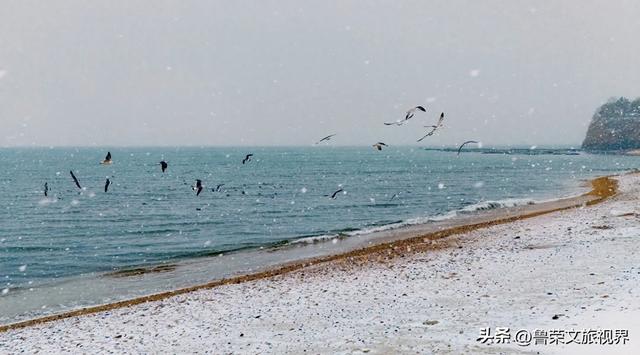 雪落大连，一场山海的冬日盛宴
