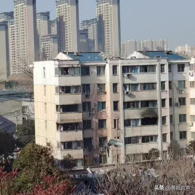 洛阳这场大火也是殃及池鱼了