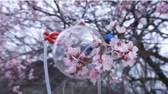 新尚｜践行可持续发展，应对气候变化与保护生物多样性