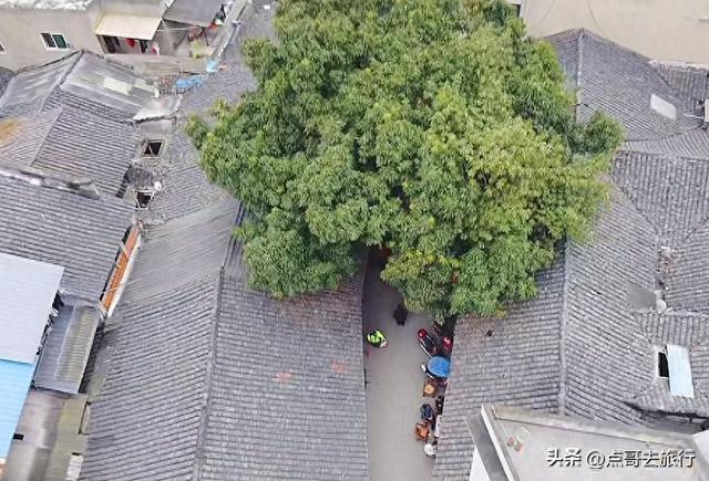成都龙泉山下，又一古场镇，古朴原始让人醉，不少人慕名前往！