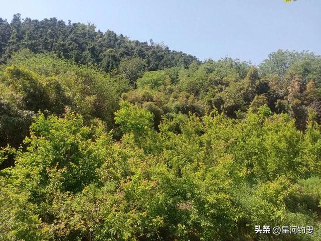 双苑、上国安寺小环线