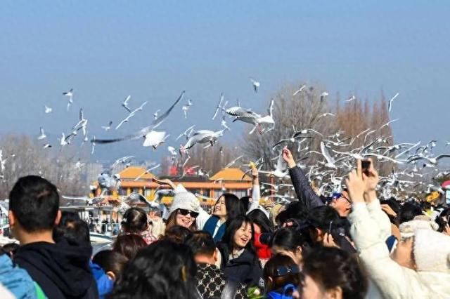 反向操作真香！冬季避开人潮的云南小众玩法，人少景美还省钱