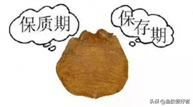 花胶能存放多久 花胶能存放多久不变质