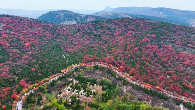 枣庄牛郎山，你怎么美成这样！！