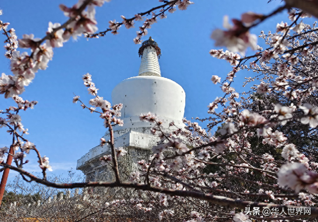 【易说生活】《易经》文化对国民的福祉与滋养
