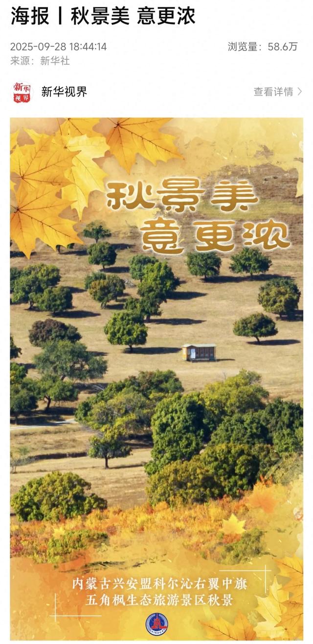 【央媒看兴安】2025兴安盟五角枫文化旅游季，捕捉最绚烂的北疆秋色