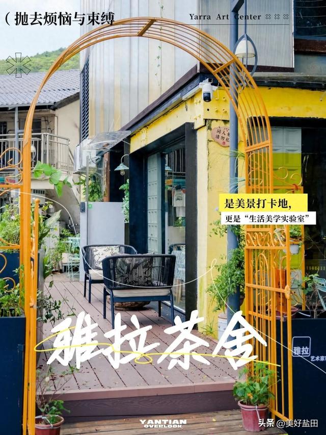 星期五，盐田上新啦 | 来离海最近的美术馆品茶吧
