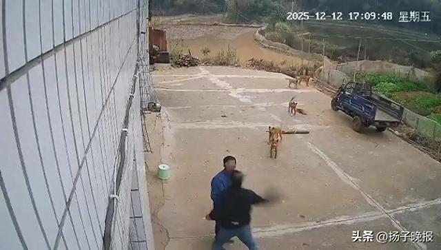 村民被邻居一拳打倒在地，医院一度下发病危通知！被打者儿子：之前我们家养的狗没拴绳子	，与他家发生过纠纷