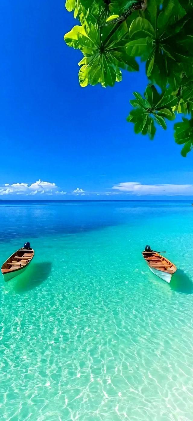 手机壁纸|夏日