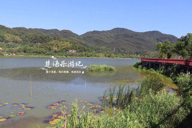 浙江绍兴少有人来的湖泊，景观步道被红杉掩映，平日秀丽秋色更美