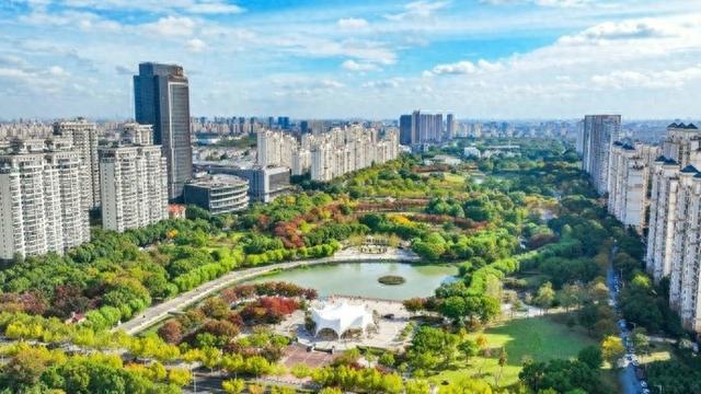 在松江中央公园的落叶与光影里寻秋