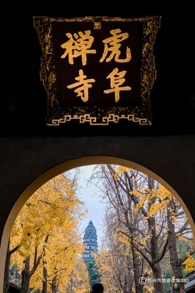 苏州园林秋色拍照攻略！这几个机位包出大片！
