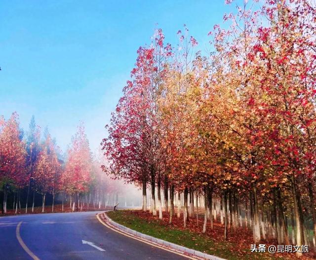 活动上新！昆明这里承包你十二月的所有周末→