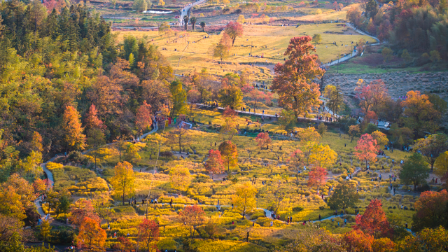 小红书火爆的黟县秋兴八景图上线！| 皖美冬日 | 第十五届安徽国际文化旅游节