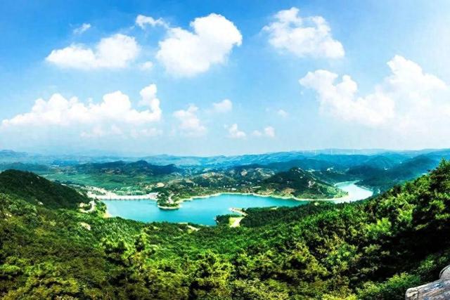 人文齐鲁|山有郁郁松：万顷苍碧背后的绿色史诗