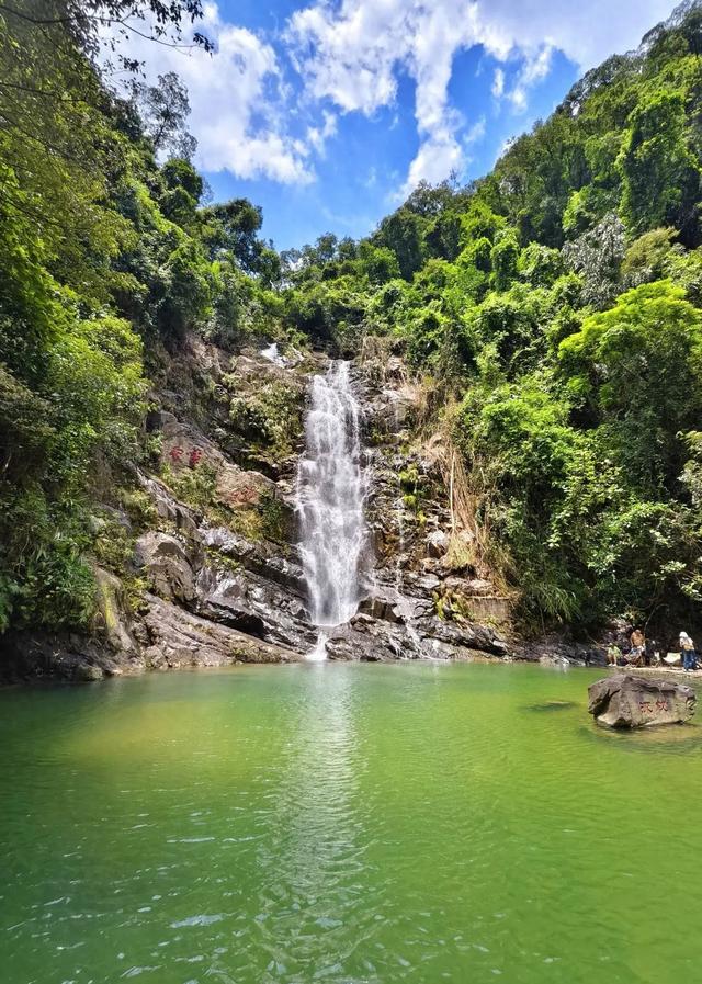 一湖清水、四大名山、小鸟天堂……肇庆这里，还是太全面了