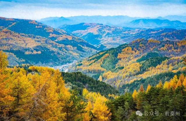 镜瞰秦州·悦秋