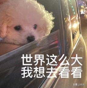 邯郸将推出城市旅行卡！