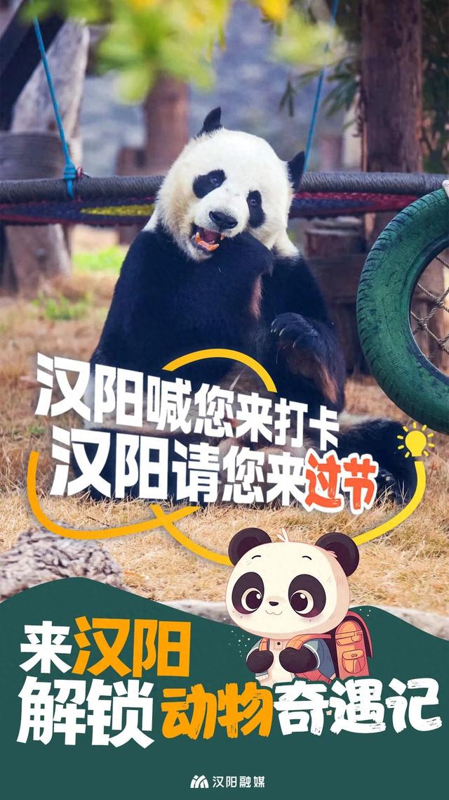十一好“趣”处！动物顶流齐聚汉阳放大招！