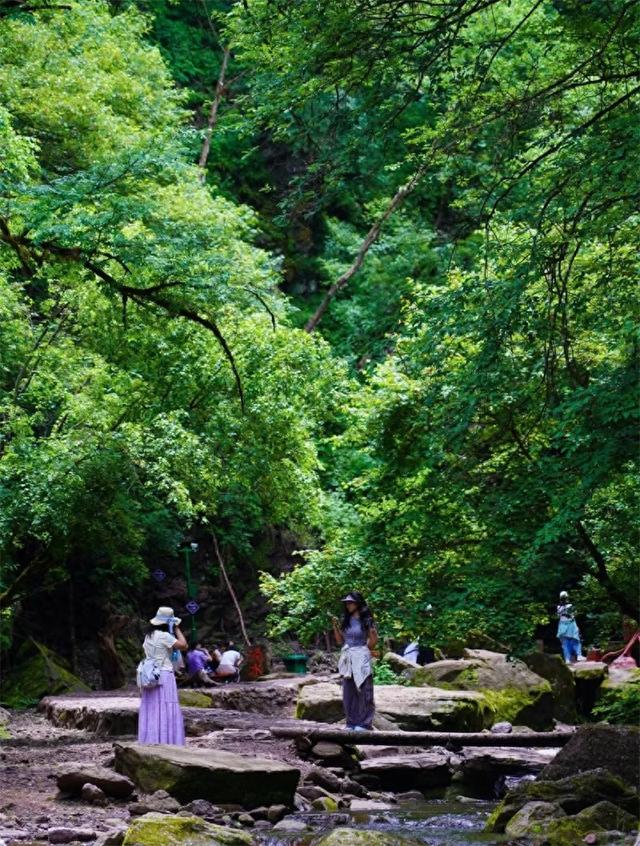 玩转固原：精品旅游线路指南