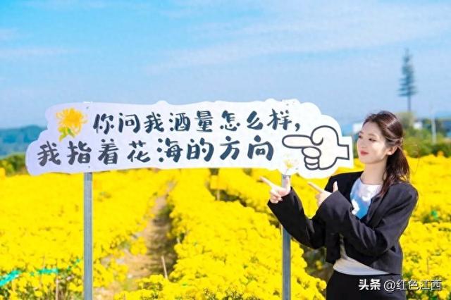 硒土菊黄，明月山的金色情书