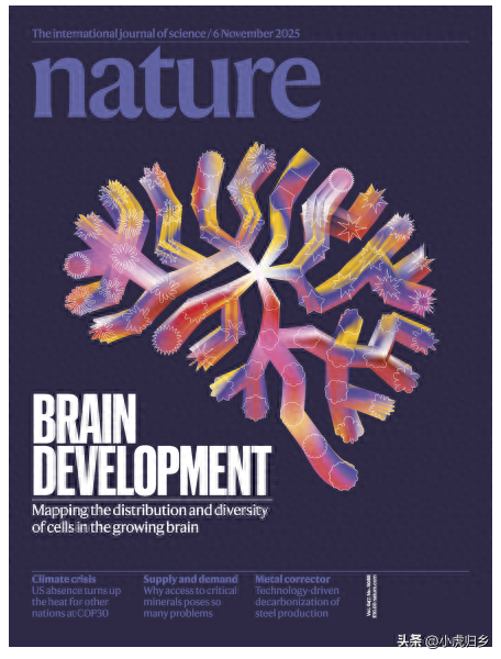 北京协和医学院再发《nature》，香港理工迎来2025年首篇正刊成果