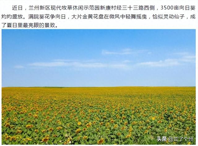 兰州竟然还有这么美的地方，不去就错过了