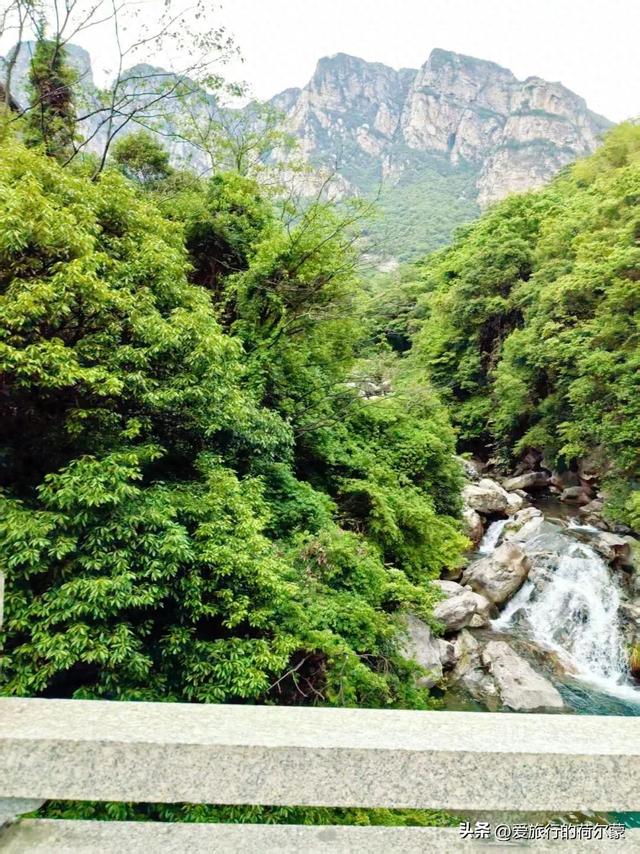 赞叹！人生第一次到江西庐山，竟看到了这样的风景！