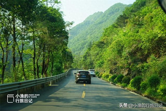 自驾210国道，飙到陕川交界！坠入绿野仙踪的秘境