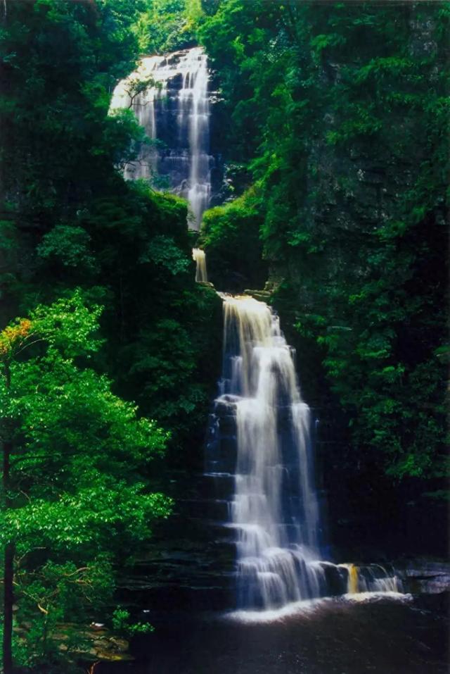 刷屏的大明山“脏水””官方辟谣：是天然茶溪