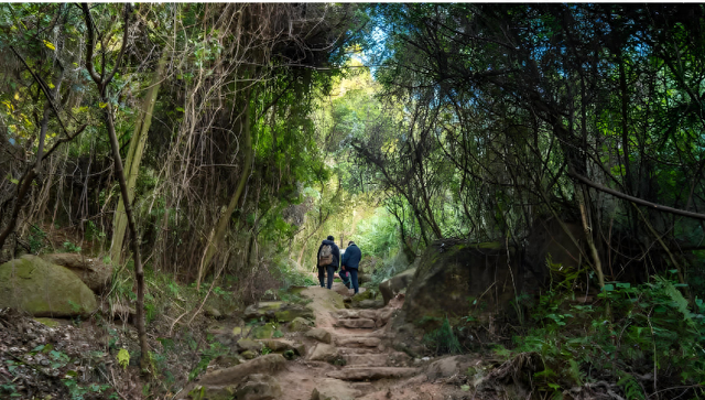 守护野趣不越界 成都市彭州市市场监管局丹景山市场监管所“三线”并进 筑牢景区安全防线
