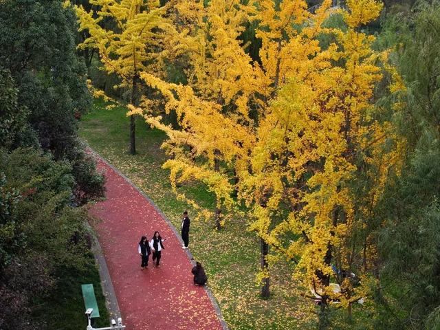 周末，和桐梓来场约会~