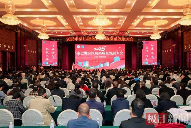 院士天团智囊领航，共绘区域医疗蓝图，2025年秦巴地区医院高质量发展大会在十堰举行