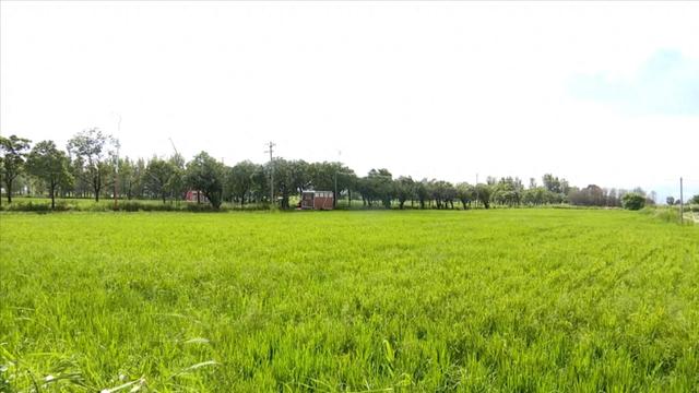 福保村打卡热 家门口的“诗和远方”