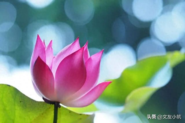 两性关系：男人过70岁	，基本上都会有如下现状，具体表现是这样的