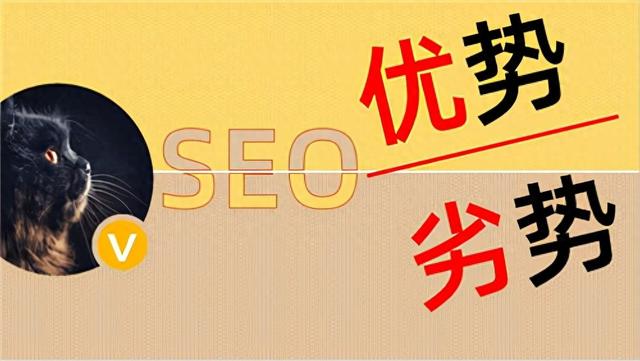 seo优化优缺点（SEO流量分析SEO的优势与劣势）