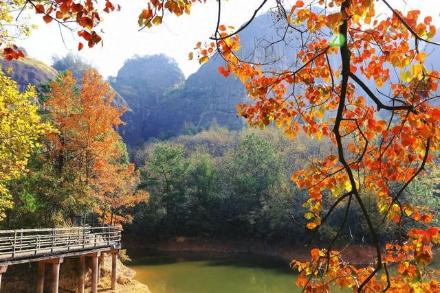 拒绝“冬懒”！鹰潭初冬运动指南：登山、骑行，在风景中唤醒活力【全球学子嘉游赣 奇绝鹰潭逍遥游】