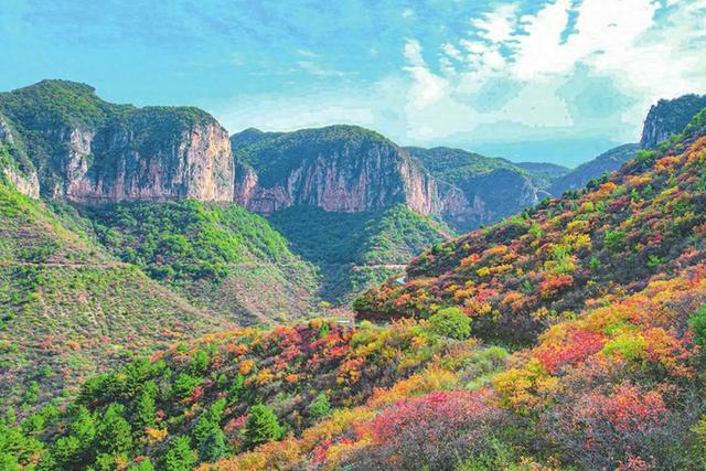 飞跃满山红！黎城四方山“美艳”登场
