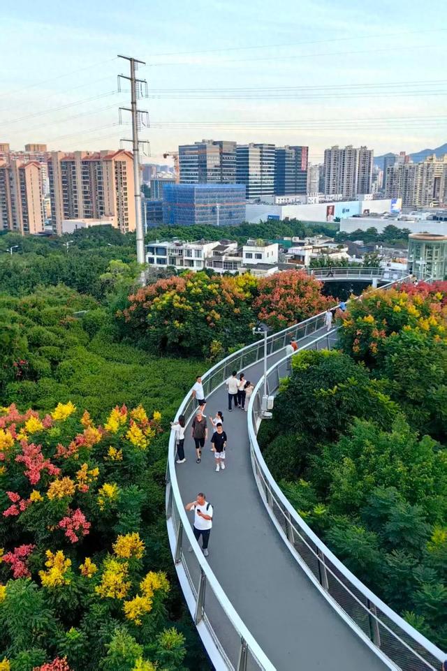 晚安厦门丨往前走别回头，愿一切美好都能不期而遇