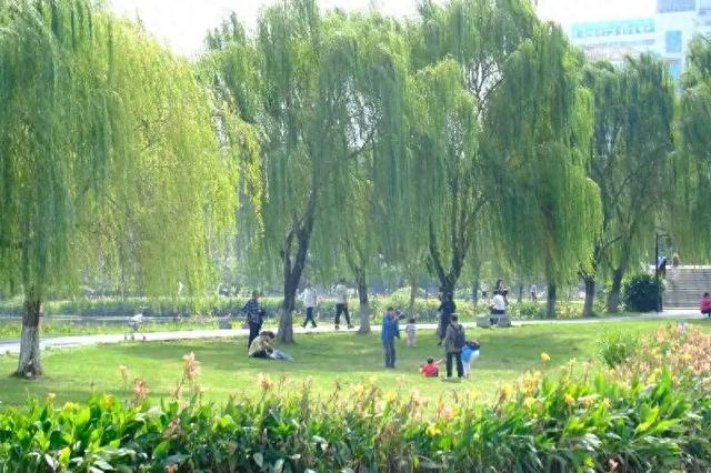 速看！局地大雨！今晚冷空气将携风带雨入桂