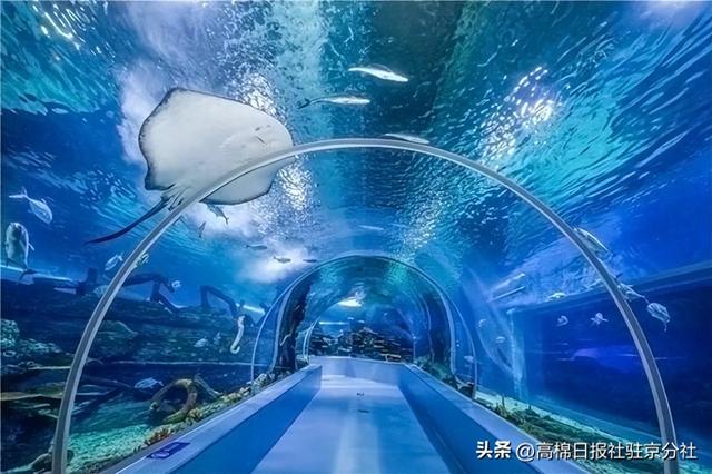 山东临沂海洋世界主题公园