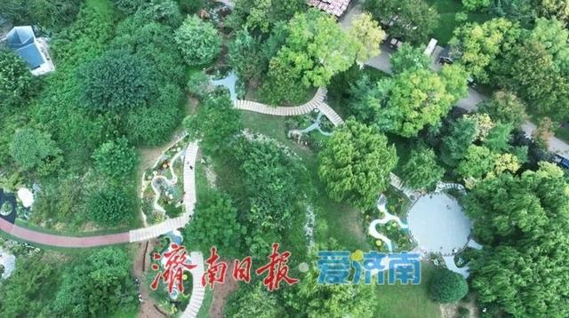 赴一场花境之约！济南植物园这场省级赛事藏着惊喜