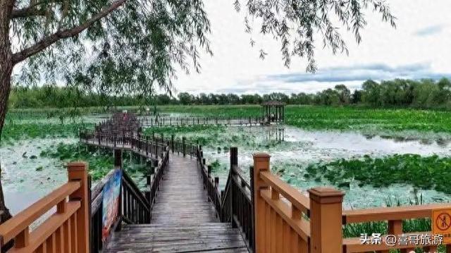 双鸭山市安邦河国家湿地公园：北国水镜的生态桃源