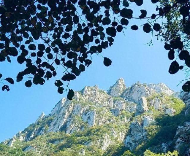 江苏没想到，山东也没想到，如今的中国河南，已成为全国焦点